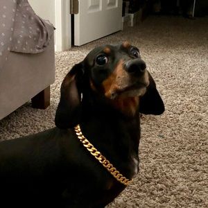 Meet your Posher, Josef